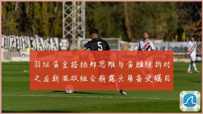 羽坛黄金搭档郑思维与黄雅琼拆对之后新混双组合崭露头角备受瞩目