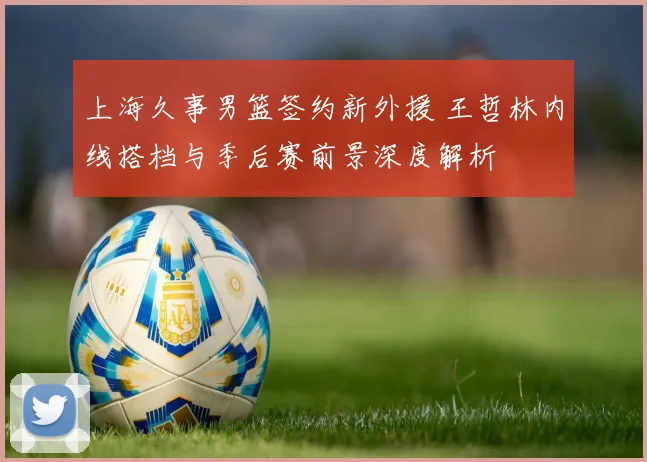 上海久事男篮签约新外援 王哲林内线搭档与季后赛前景深度解析