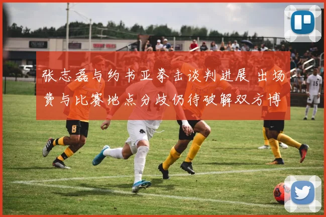 张志磊与约书亚拳击谈判进展 出场费与比赛地点分歧仍待破解双方博弈