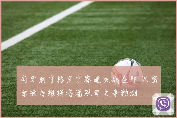 匈牙利亨格罗宁赛道决战在即 汉密尔顿与维斯塔潘冠军之争预测