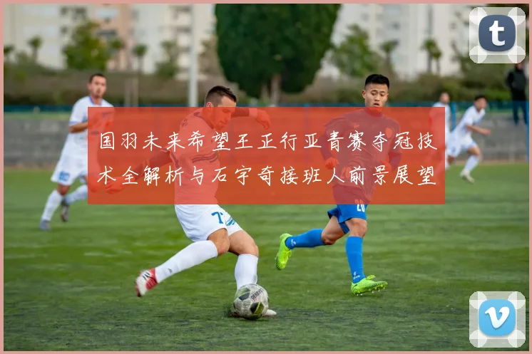 国羽未来希望王正行亚青赛夺冠技术全解析与石宇奇接班人前景展望